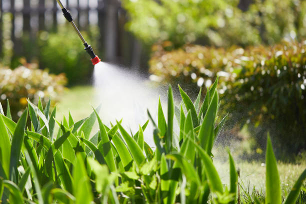 Tamper-Resistant Bait Stations for Rodents in Hillside Lake