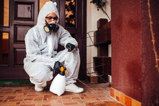 Attic and Crawl Space Rodent Treatment in Hillside Lake