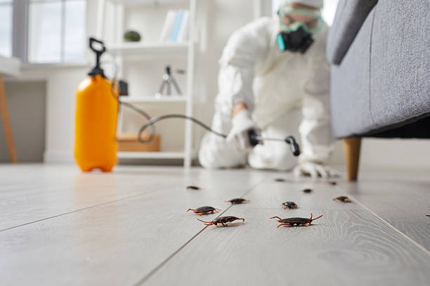 Commercial Rodent Management in Hillside Lake